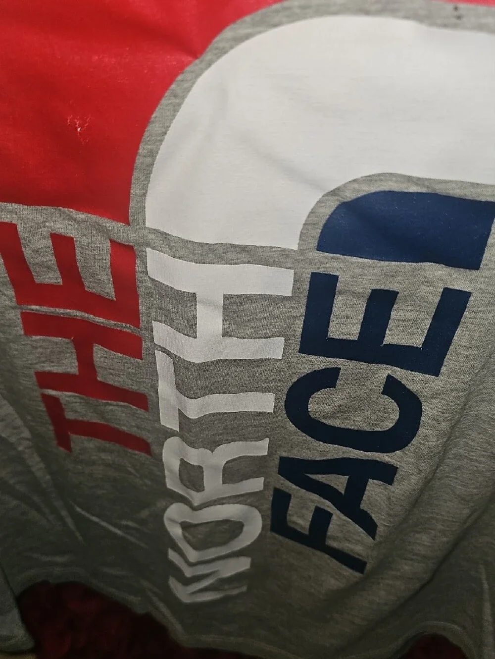 Northface Women's Scoop Neck Tshirt With Logo Size Large (14) - Picture 4 of 6